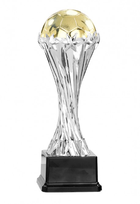 Trophée Football 84-01