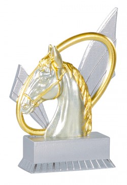 Trophée Équitation 31407