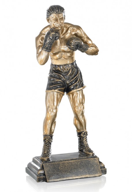 Trophée Boxe 52535