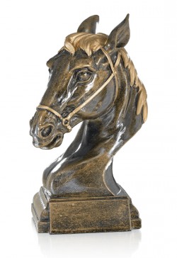 Trophée Équitation 20309