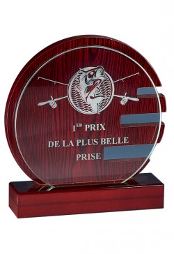 Trophée Verre/Bois Personnalisé 163-11-CLI