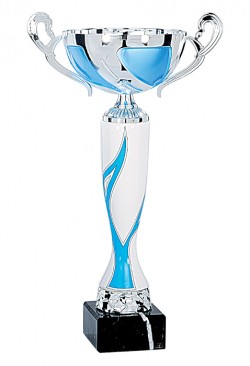Coupe Classique Céramique : 5391