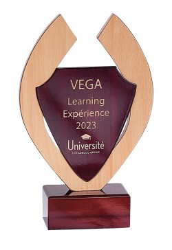 Trophée Bois Personnalisé 152-41-SU