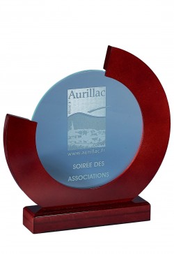 Trophée Personnalisé 153-81-SU