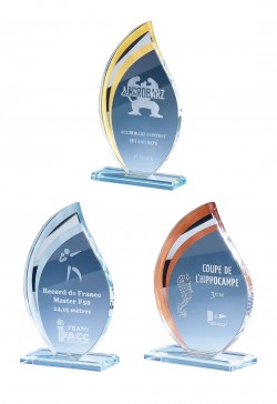 Trophée Verre Personnalisé 170-01-CLI