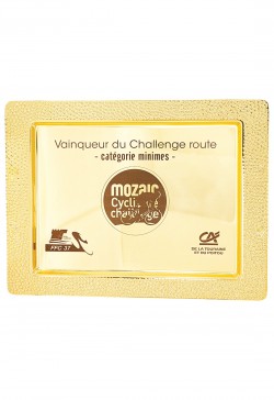 Plateau Métal Personnalisé : 183-41-CLI