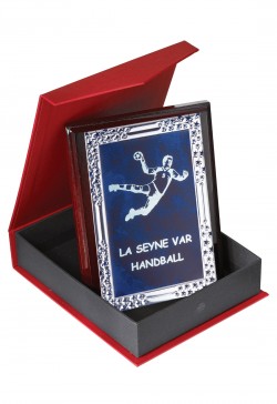 Plaque de distinction : 185-91-CLI