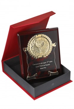 Plaque de distinction : 185-71C