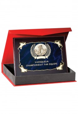 Plaque de distinction : 187-45-C