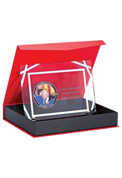 Plaque de distinction 189-51-SU