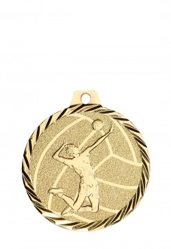 Médaille Ø 50 mm Volley-ball  - NZ24