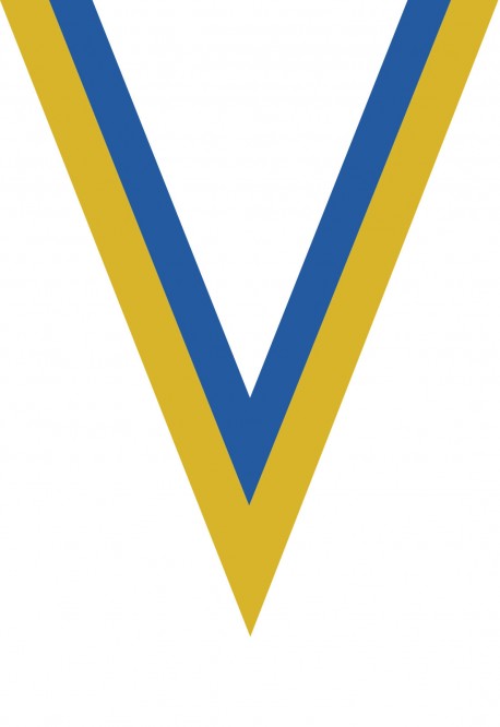 Ruban Médaille  Jaune/Bleu  : 6036