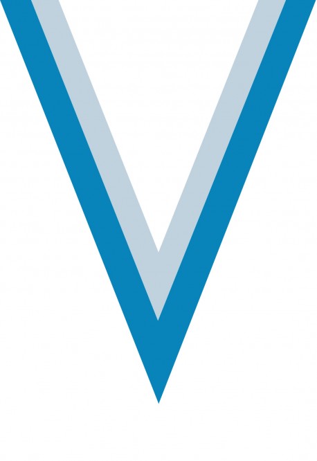 Ruban Médaille  Blanc/Bleu Ciel  : 6047