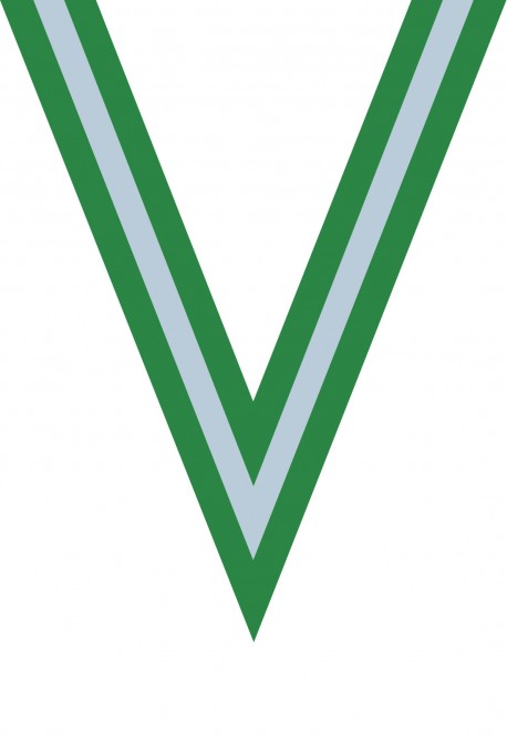 Ruban Médaille  Vert/Blanc/Vert : 6052