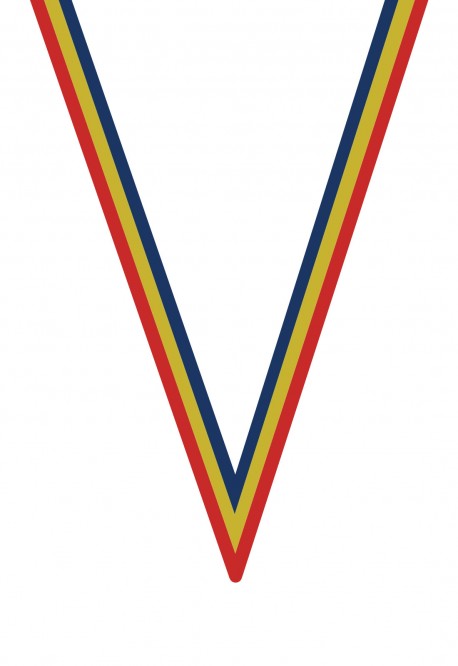 Ruban Médaille  Rouge/Jaune/Bleu : 6057-1