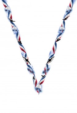 Ruban Médaille  Natation  : 7076