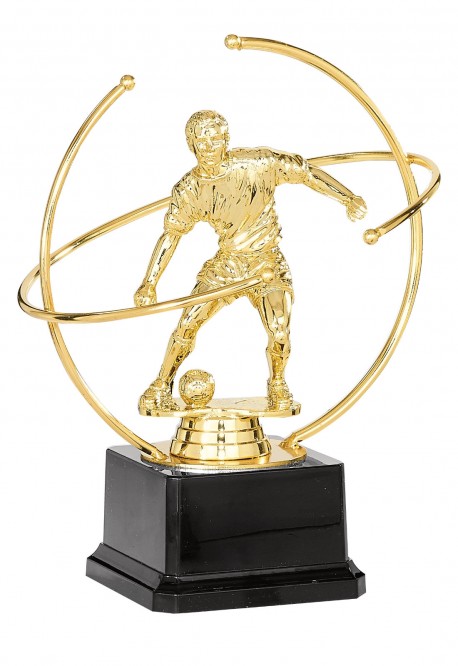 Trophée Football Masculin  84-11