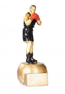 Trophée Boxe 71504