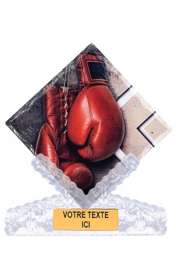 Trophée Boxe 46103