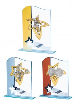 Trophée Verre Personnalisé 128-51-NJ