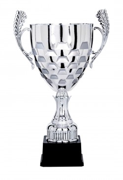 Coupe Prestige Métal : 5901