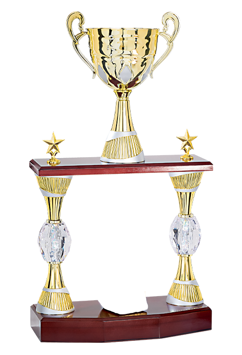 Trophée Personnalisé Figurine147-51-RS