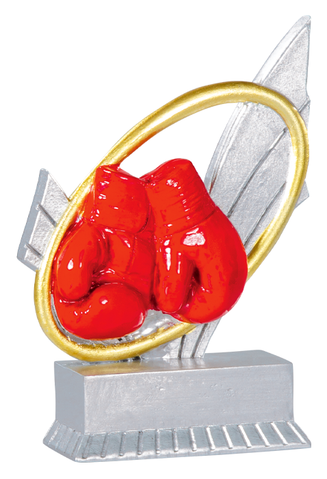 Trophée Boxe 31404