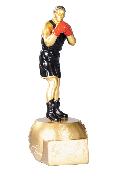 Trophée Boxe 71504