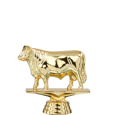 Trophée Personnalisé Figurine 143-81-D
