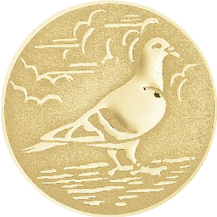Trophée Personnalisé 61418-C